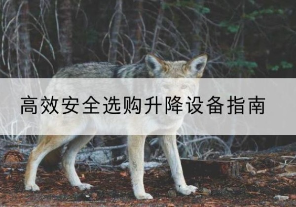 宝兴升降货梯厂家推荐-*安全选购升降设备指南