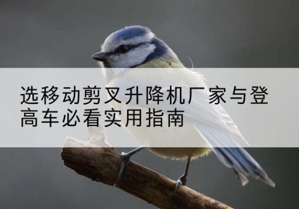 宝兴电动升降机厂家-选移动剪叉升降机厂家与登高车必看实用指南
