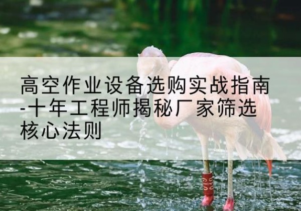 宝兴剪叉式升降机厂家-高空作业设备选购实战指南-十年工程师揭秘厂家筛选核心法则